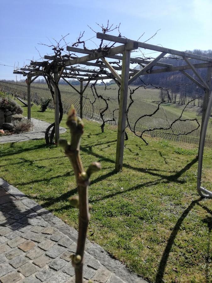 Das Weinberghaus Ratsch an der Weinstraße 외부 사진