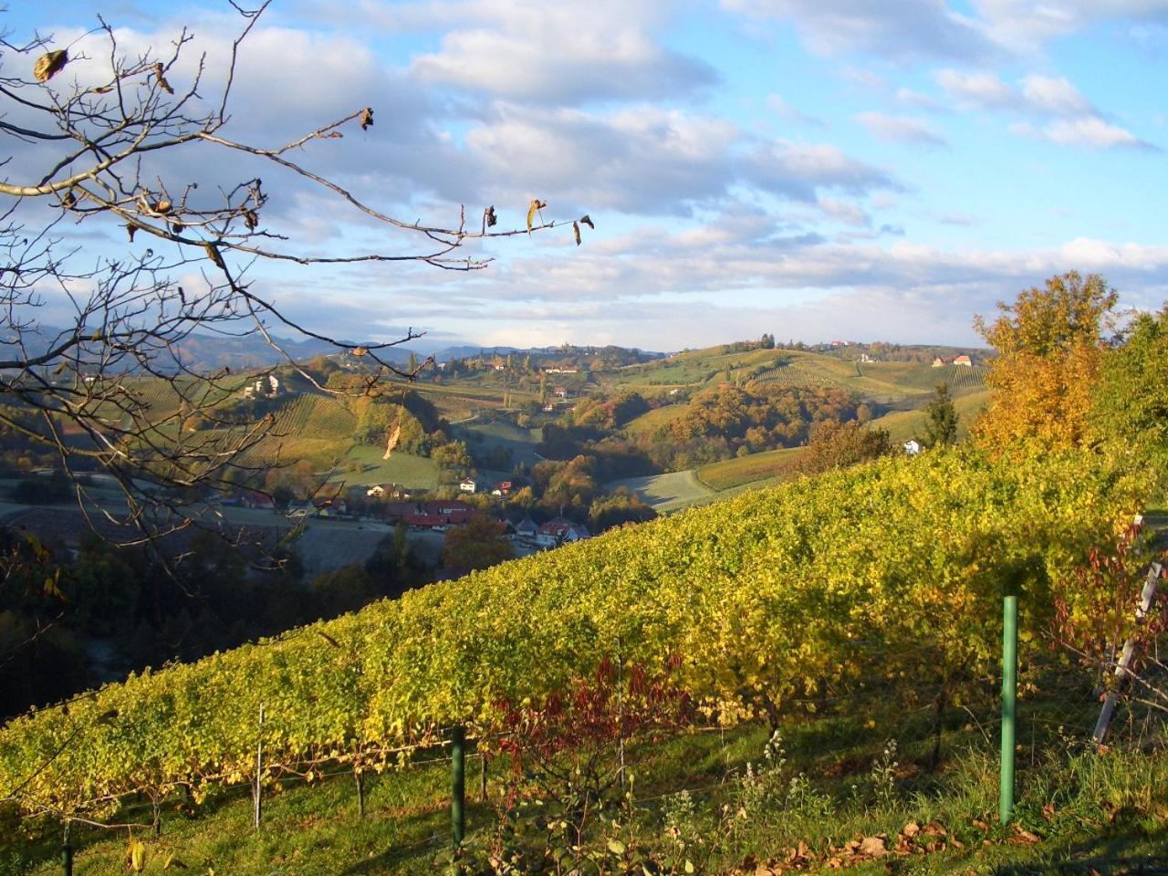 Das Weinberghaus Ratsch an der Weinstraße 외부 사진