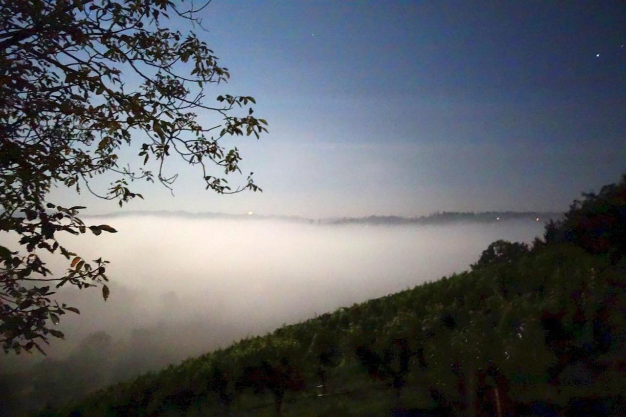 Das Weinberghaus Ratsch an der Weinstraße 외부 사진